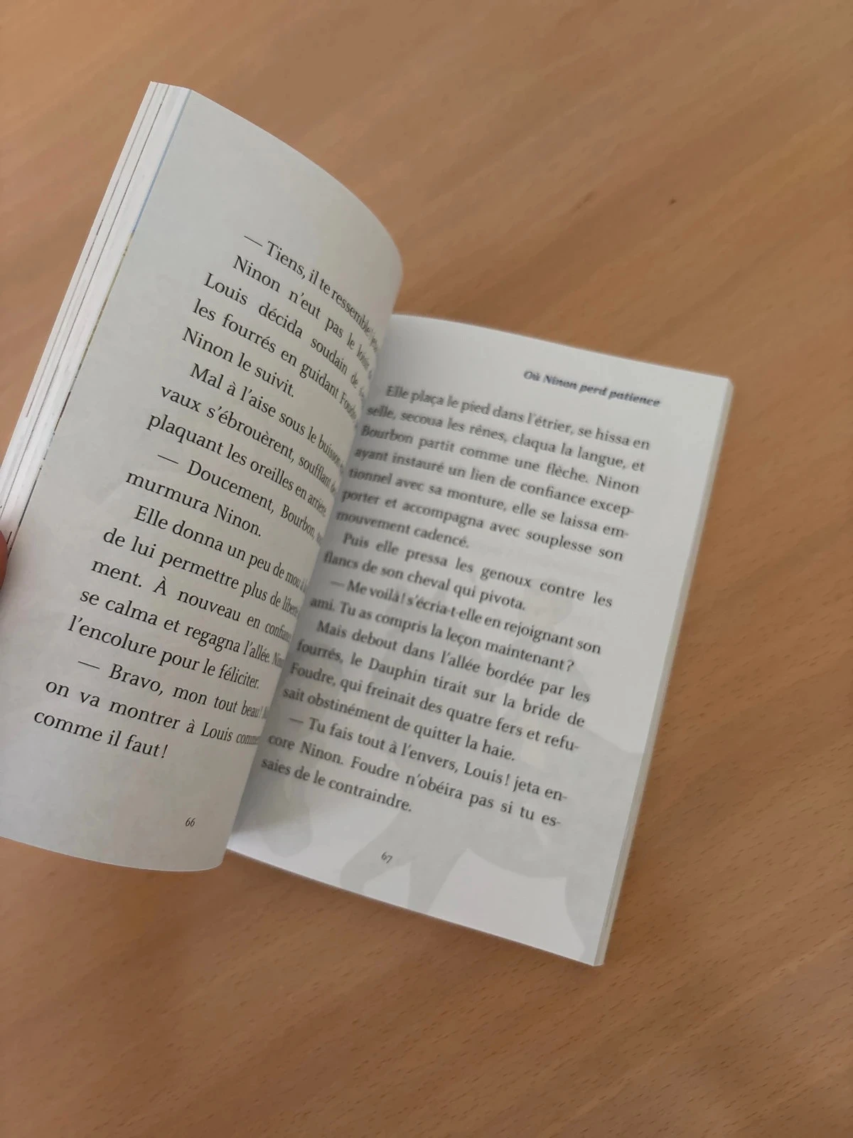 Book "The King's Rider" Volume 1 – photo 2